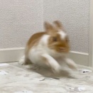 楽しくて楽しくて