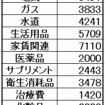 下流のお一人様家計簿blog☆彡