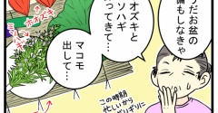 地域によって全然違う"お盆に使うあれ"の呼び方