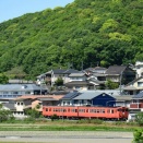 玉柏でSAKU美