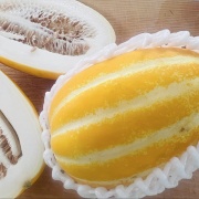 写真日記　7月上旬