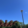 六甲山　7.7.20