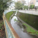 永福町：松ノ木：テニス（その２）