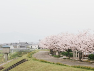 嫁の出産後、俺が浮気相手を妊娠させてしまった。嫁「ﾀﾋんでも離婚しない」→その後、浮気相手が子供を置いて失踪。子供を育てて数年後に浮気相手が現れて…