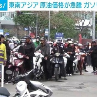 ハムスター速報