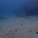 梶賀ダイビングサービス