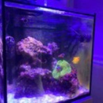 Dialy of MarineAquarium