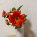 ひろこのひとりごと