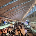 Blue is the colour  Football is the game