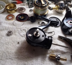 ソルティガ８０００！