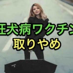 マサキさんがやってみたブログ