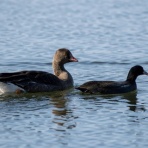 あまり見ないでください by sacchou