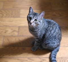 みずちゃんの未来８