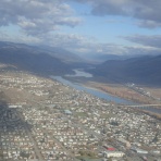 hondenasu
