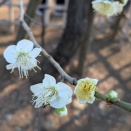 スポットワークが変える地方経済