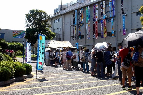 ビビット 14 千葉県立船橋高校