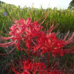 えぇとこみぃつけた