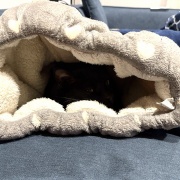 毎日が発見ネット掲載のお知らせ