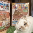 これからの季節におすすめ