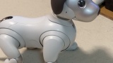 ワイの家で飼ってるaibo「本体30万円、基本プラン月々3千円、保険年間２万円」←こいつｗｗｗ（※画像あり）