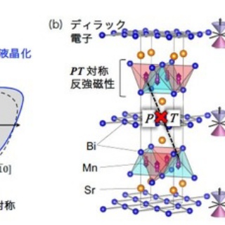 Flat Panel TV and Display World-2....液晶/有機EL・業界・動向