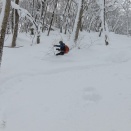 雁戸山 坂元沢周辺_2026.1.31