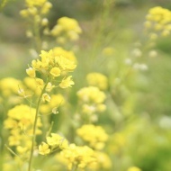 自分との約束を守るために
