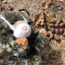 ＃ホワイトオーク2025