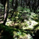 八ヶ岳　ニュウへ