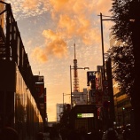 『何を捨てて何を残すか　vol.4223』の画像