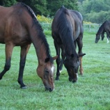 『今日も』の画像