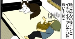 我が家の猫界では、順番待ちと言う概念が確立している
