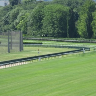 ☆うまなみ・競馬にゅーす速報