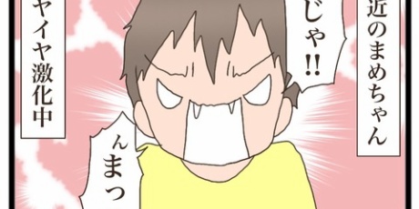 猫の手貸して - ☆まめちゃん1歳 Powered by ライブドアブログ