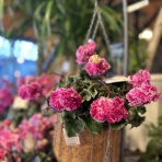 ACTIS FLOWER＆GARDEN GREEN　　プチ*フルール