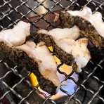 「全国イイ味ハマル味」