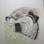 あすか倶楽部～セミリタイア主婦の多趣味生活