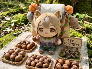 【ウマ娘】どんぐりを辿ったら着くこきゅーとのどんぐり屋さん