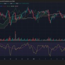 お腹いっぱい？週末だし