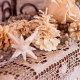 『母の形見 (2)』の画像