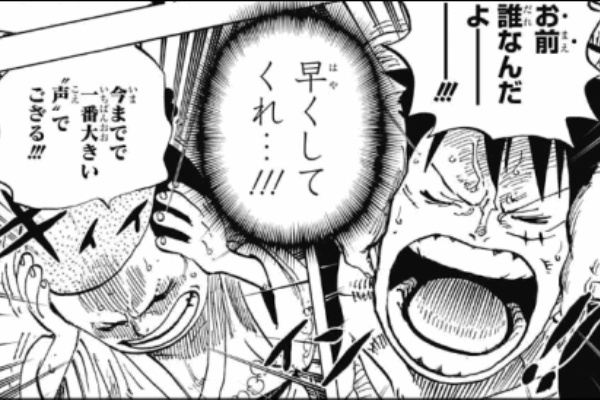 ワンピース 1話について ヤマカムセカンド