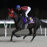 『【遠征馬情報】大井競馬場・第48回東京2歳優駿牝馬〔SⅠ〕にホッカイドウ競馬から3頭出走!』の画像