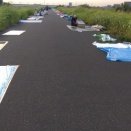 20250802板橋花火大会