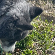 【日々の暮らし】いつの間にか春の気配を追いかける散歩道♪