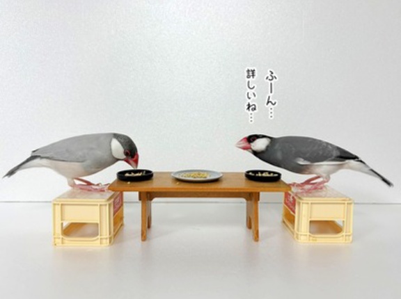 うさぎさんと写真を撮ったんだ