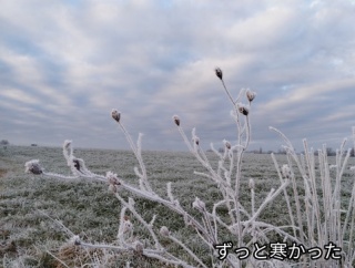 時効だから殺人を罰せずという判決