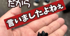 こうなる事はわかってたのに。