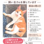 袋井動物病院日記