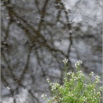 Jazz & Audio Saudade　　オーディオ・ロマンチック街道を旅する