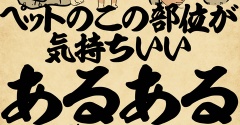 ペットのこの部位が気持ちいいあるあるでござる